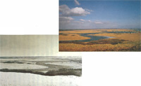 イメージ（（左）霧多布湿原の冬景色　（右）晩秋の霧多布湿原）
